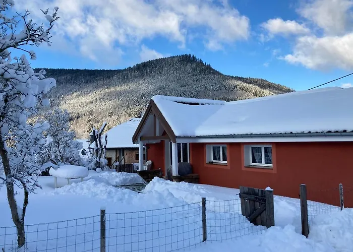 Le Cerf Volant Dom wakacyjny Raon-sur-Plaine