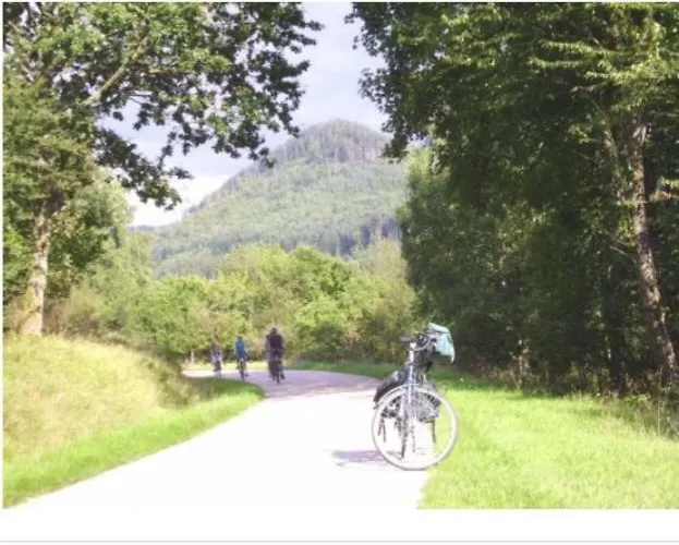 Le Cerf Volant Dom wakacyjny Raon-sur-Plaine